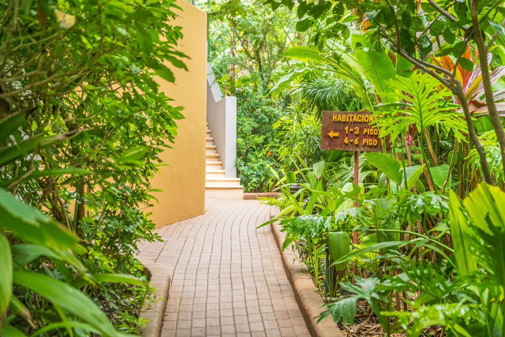 Hotel Boutique Lagarta Lodge 노사라 외부 사진